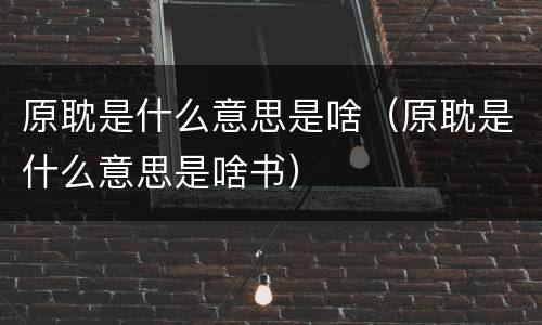 原耽是什么意思是啥（原耽是什么意思是啥书）