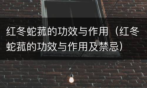 红冬蛇菰的功效与作用（红冬蛇菰的功效与作用及禁忌）