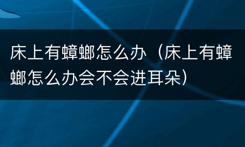 床上有蟑螂怎么办（床上有蟑螂怎么办会不会进耳朵）