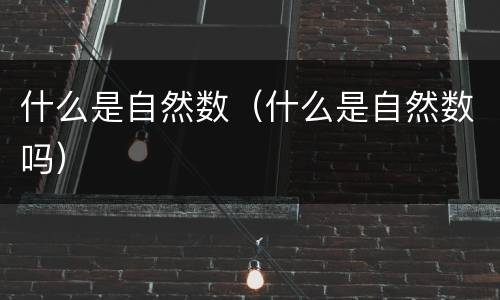 什么是自然数（什么是自然数吗）