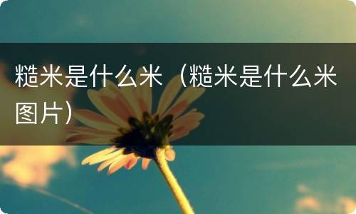 糙米是什么米（糙米是什么米图片）