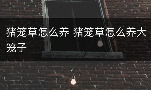 猪笼草怎么养 猪笼草怎么养大笼子