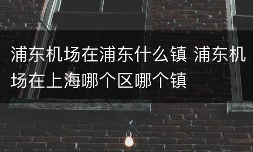 浦东机场在浦东什么镇 浦东机场在上海哪个区哪个镇