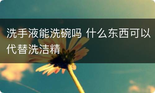 洗手液能洗碗吗 什么东西可以代替洗洁精