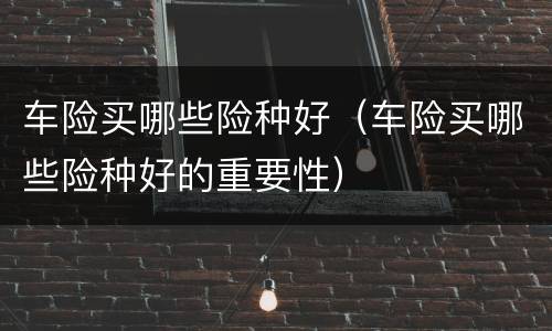 车险买哪些险种好（车险买哪些险种好的重要性）