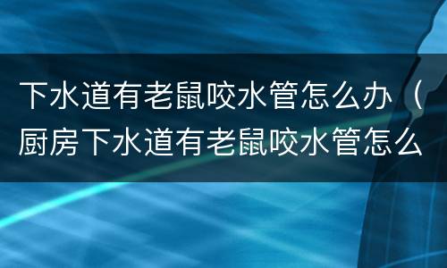 下水道有老鼠咬水管怎么办（厨房下水道有老鼠咬水管怎么办）