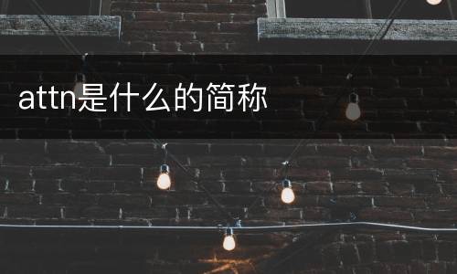 attn是什么的简称