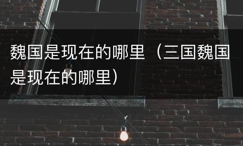 魏国是现在的哪里（三国魏国是现在的哪里）