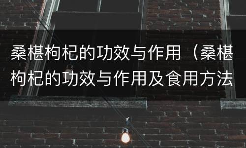 桑椹枸杞的功效与作用（桑椹枸杞的功效与作用及食用方法）