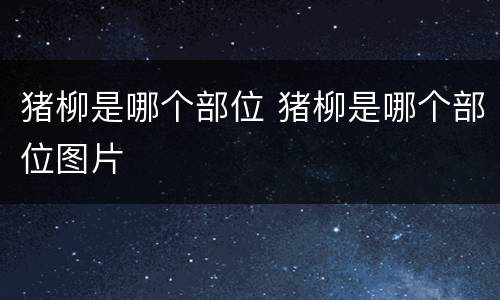 猪柳是哪个部位 猪柳是哪个部位图片