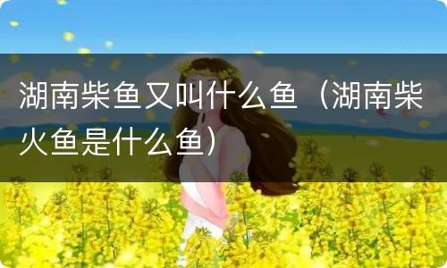 湖南柴鱼又叫什么鱼（湖南柴火鱼是什么鱼）