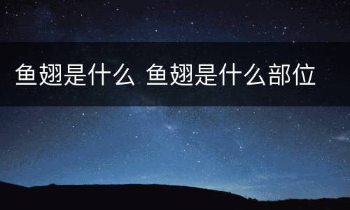鱼翅是什么 鱼翅是什么部位