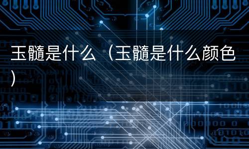 玉髓是什么（玉髓是什么颜色）