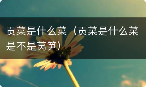 贡菜是什么菜（贡菜是什么菜是不是莴笋）
