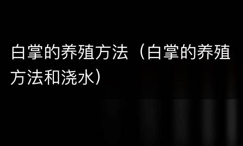 白掌的养殖方法（白掌的养殖方法和浇水）