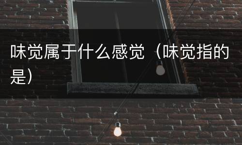 味觉属于什么感觉（味觉指的是）