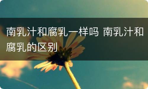 南乳汁和腐乳一样吗 南乳汁和腐乳的区别