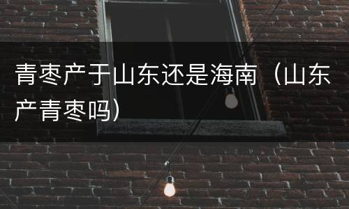 青枣产于山东还是海南（山东产青枣吗）