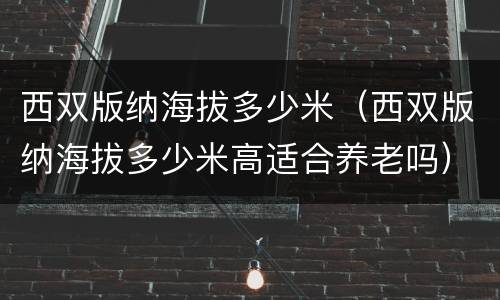 西双版纳海拔多少米（西双版纳海拔多少米高适合养老吗）