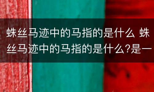 蛛丝马迹中的马指的是什么 蛛丝马迹中的马指的是什么?是一种昆虫吗?真正答案公布