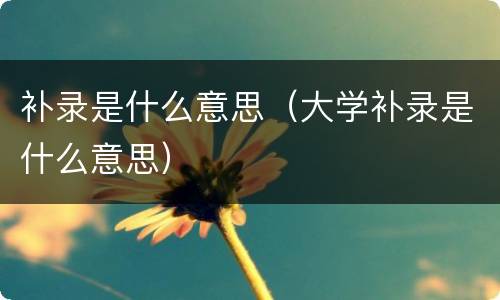 补录是什么意思（大学补录是什么意思）