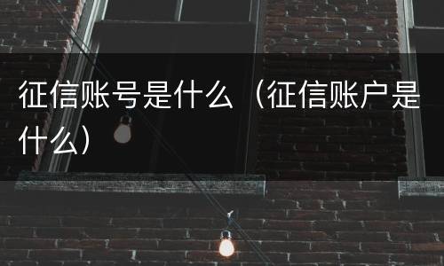 征信账号是什么（征信账户是什么）
