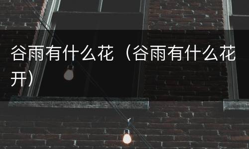 谷雨有什么花（谷雨有什么花开）