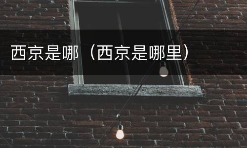 西京是哪（西京是哪里）