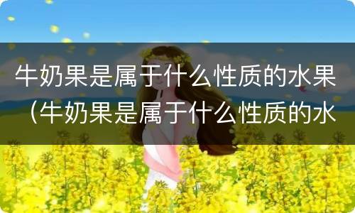 牛奶果是属于什么性质的水果（牛奶果是属于什么性质的水果呢）
