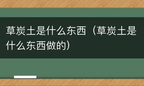 草炭土是什么东西（草炭土是什么东西做的）