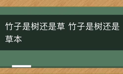 竹子是树还是草 竹子是树还是草本
