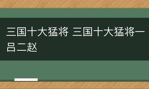 三国十大猛将 三国十大猛将一吕二赵