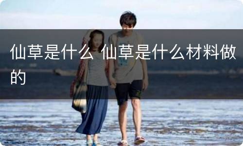 仙草是什么 仙草是什么材料做的