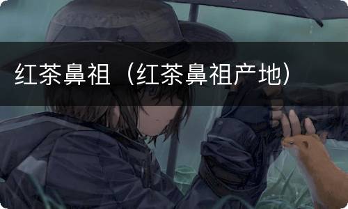 红茶鼻祖（红茶鼻祖产地）