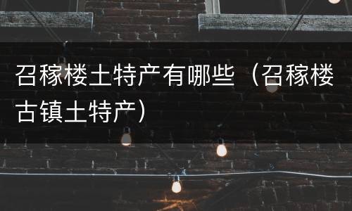 召稼楼土特产有哪些（召稼楼古镇土特产）