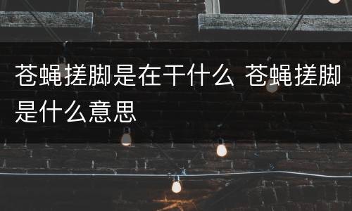 苍蝇搓脚是在干什么 苍蝇搓脚是什么意思