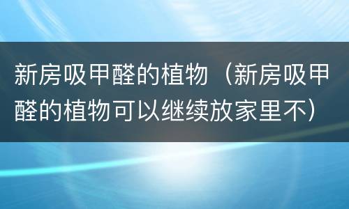 新房吸甲醛的植物（新房吸甲醛的植物可以继续放家里不）