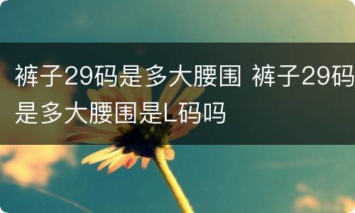 裤子29码是多大腰围 裤子29码是多大腰围是L码吗