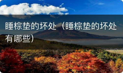 睡棕垫的坏处（睡棕垫的坏处有哪些）