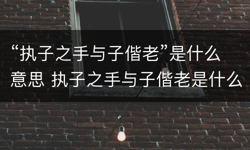 “执子之手与子偕老”是什么意思 执子之手与子偕老是什么意思战友情