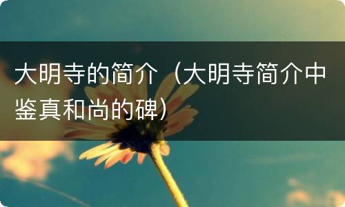 大明寺的简介（大明寺简介中鉴真和尚的碑）