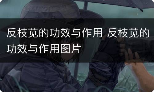 反枝苋的功效与作用 反枝苋的功效与作用图片