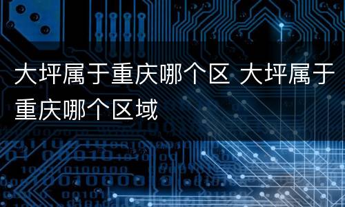 大坪属于重庆哪个区 大坪属于重庆哪个区域