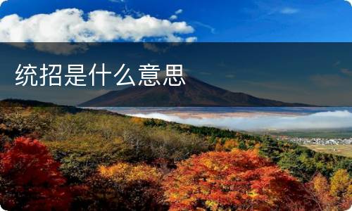 统招是什么意思