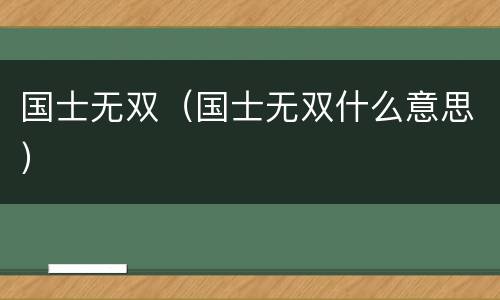 国士无双（国士无双什么意思）