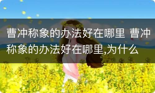 曹冲称象的办法好在哪里 曹冲称象的办法好在哪里,为什么