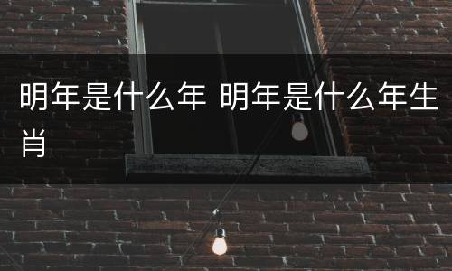 明年是什么年 明年是什么年生肖