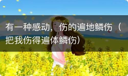 有一种感动，伤的遍地鳞伤（把我伤得遍体鳞伤）