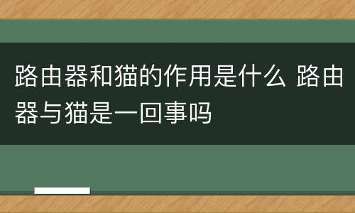 路由器和猫的作用是什么 路由器与猫是一回事吗