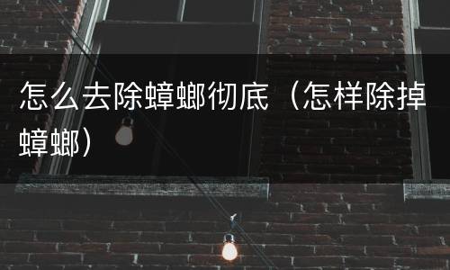怎么去除蟑螂彻底（怎样除掉蟑螂）